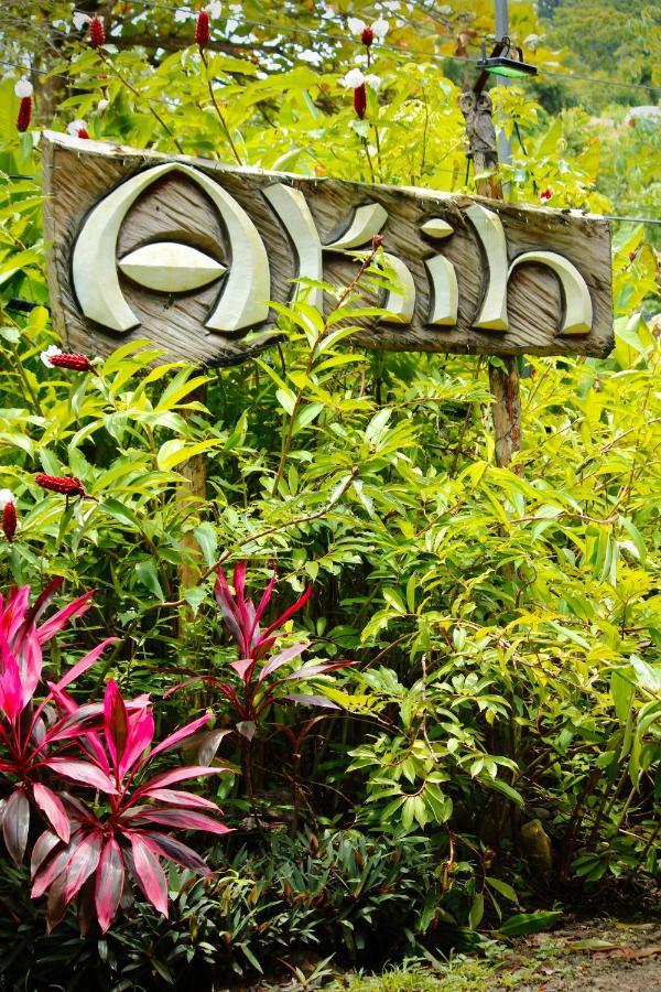 Akih Pods Hostel Playa Santa Teresa  Экстерьер фото